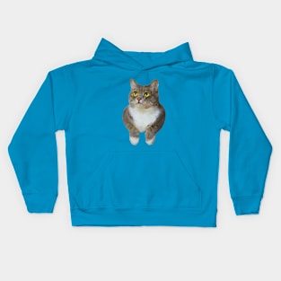 Funny cat with two arms painting Kids Hoodie